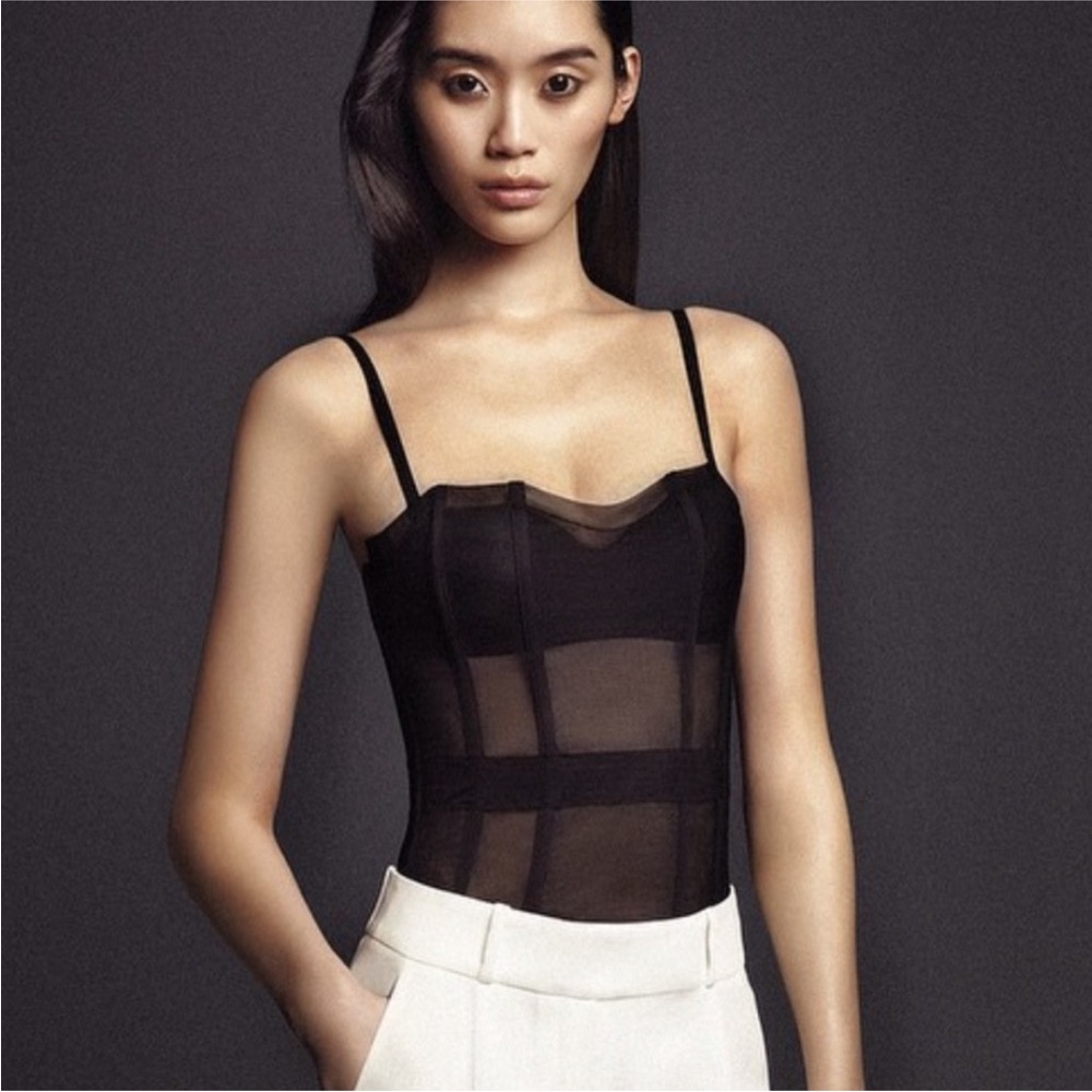 New La Perla sheer corset.